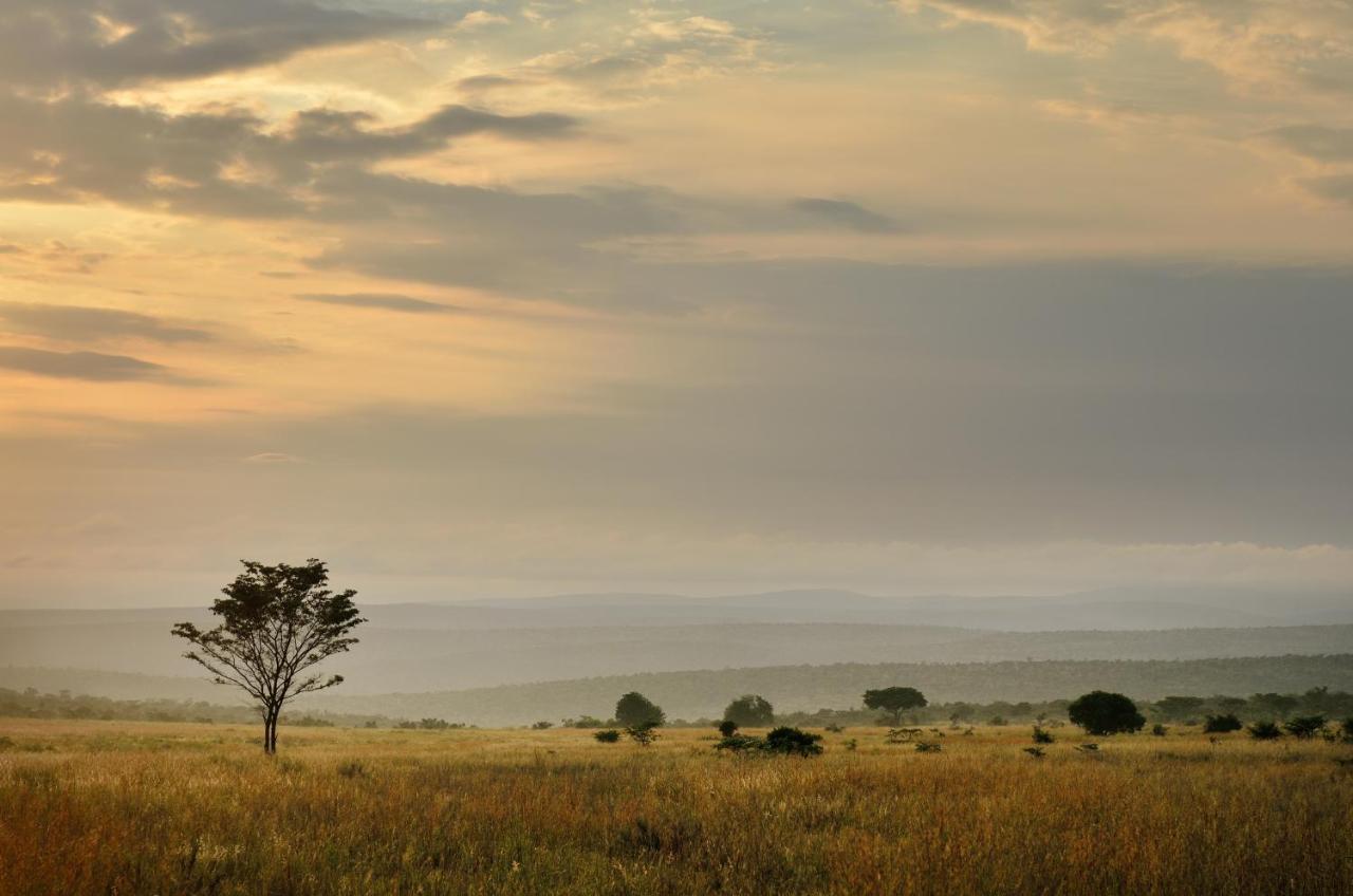 Makweti Safari Lodge Rezervaţia de vânat Welgevonden Exterior foto