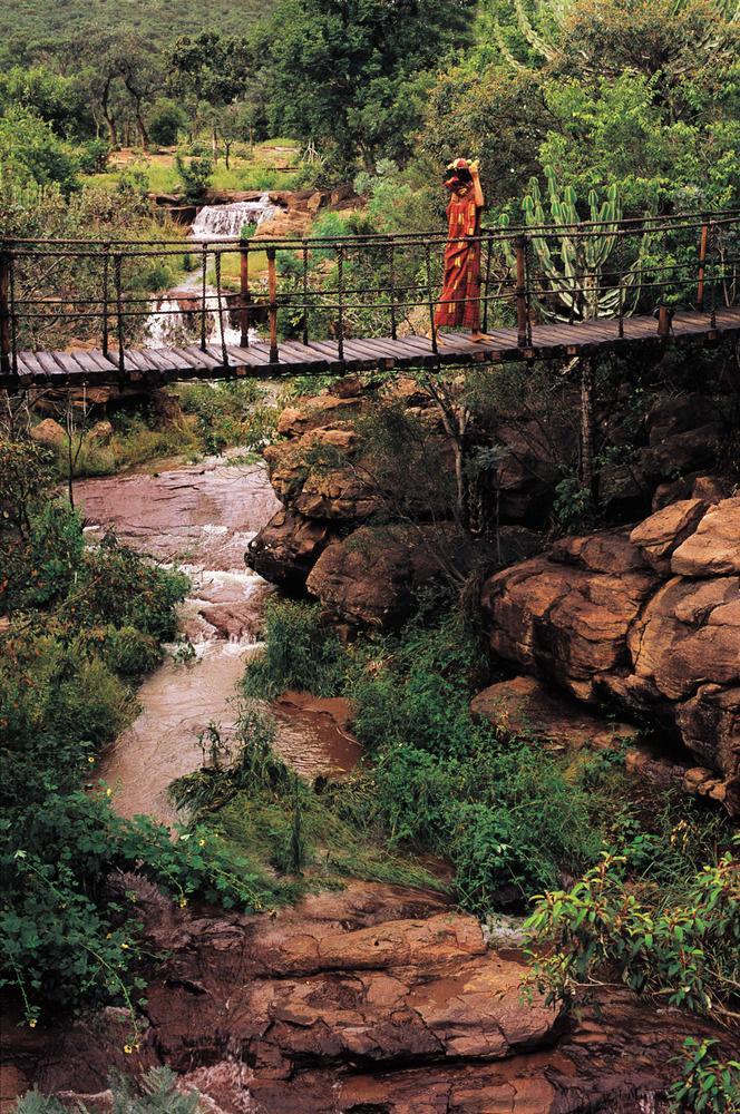 Makweti Safari Lodge Rezervaţia de vânat Welgevonden Exterior foto