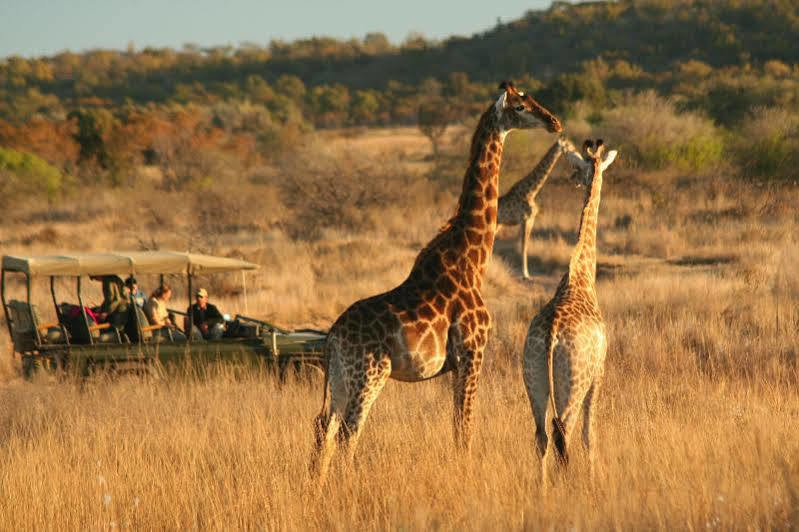 Makweti Safari Lodge Rezervaţia de vânat Welgevonden Exterior foto